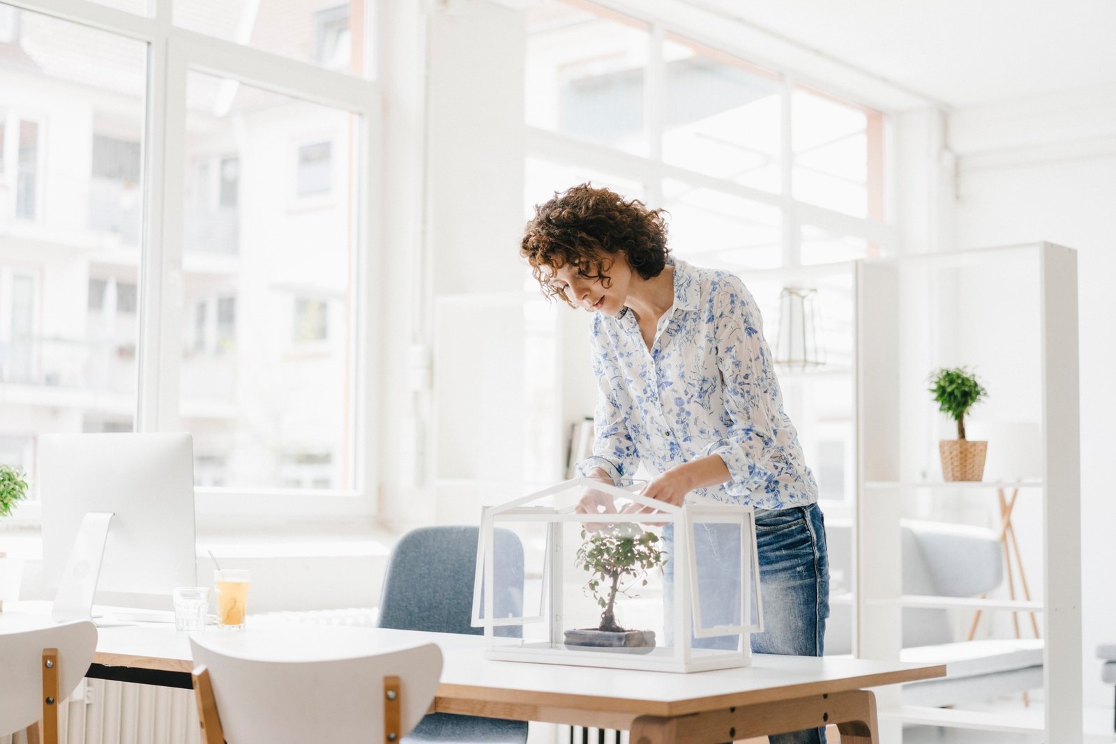 Businesswoman in office taking care of bonsai tree
